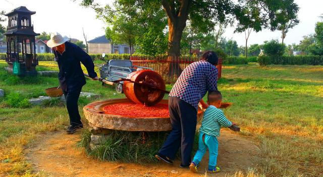  分饼@“十人分饼、十一牛耕地、二龙治水”老农说明年的收成不太