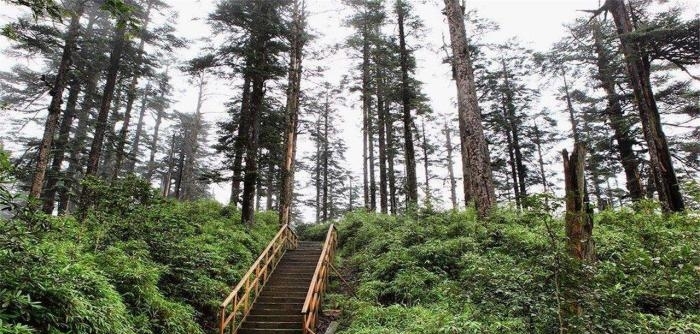 四川被封禁6年的景区，终于重出江湖，网友：九寨沟遇到对手了