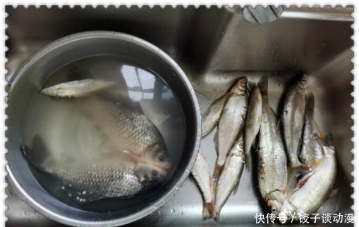 『大草』金圭鲤干上大草,顾不及断线跑鱼