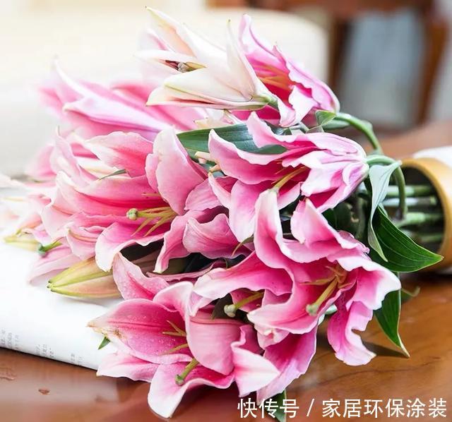 『赶紧搬』卧室养花需谨慎,这五种花千万不能养,卧室植物如何挑选?
