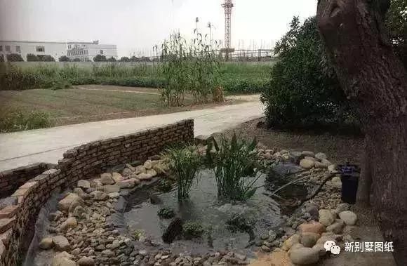 庭院设计|农村大叔手把手教你，一个人挖池塘，小院从此美美的