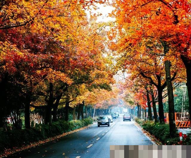 国内最“良心”5A景点,不收门票17年,收入却高居不下