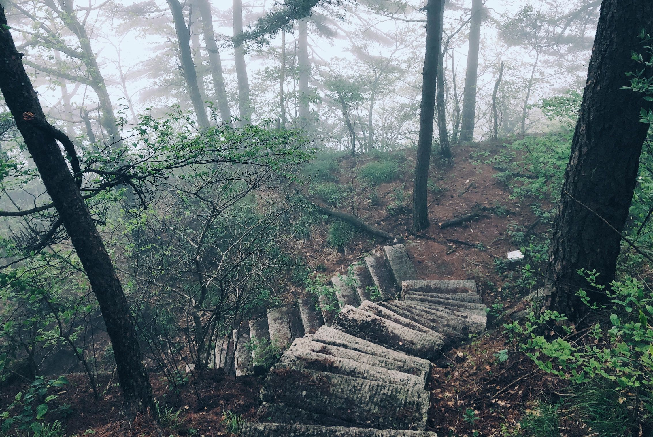 走进北纬30°的天柱山，一处风光秀丽又神秘的地方