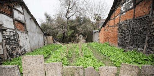 农村老话 屋后水门前坟, 家败人亡子不归, 真理!