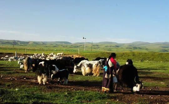 『青海』青海39个之最,不但在全国出名了,还有这么多世界级....