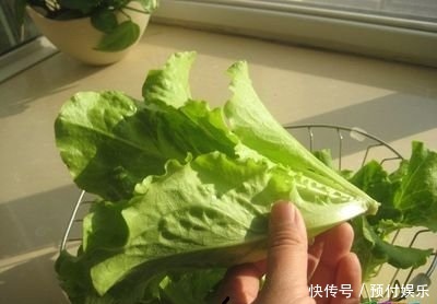“2种菜”适合种阳台，1个空油桶就搞定，长出“红辣椒”一串串