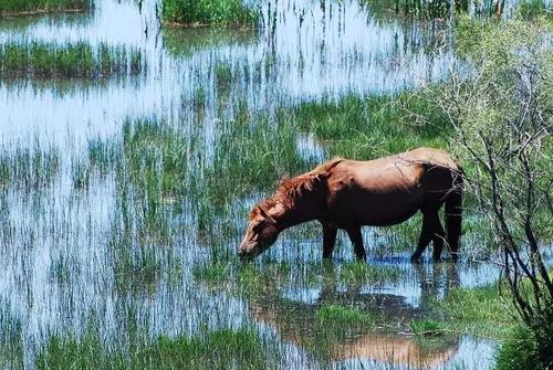 2019必去的小众旅行目的地！赶紧列入清单