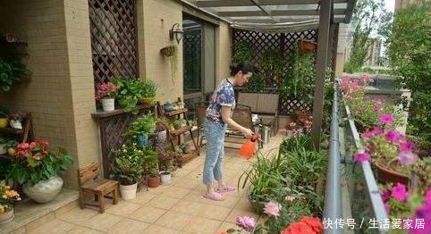 #吸收水分#家养植物烂根黄叶?不要慌,用2种''常见药''抢救,见效真快