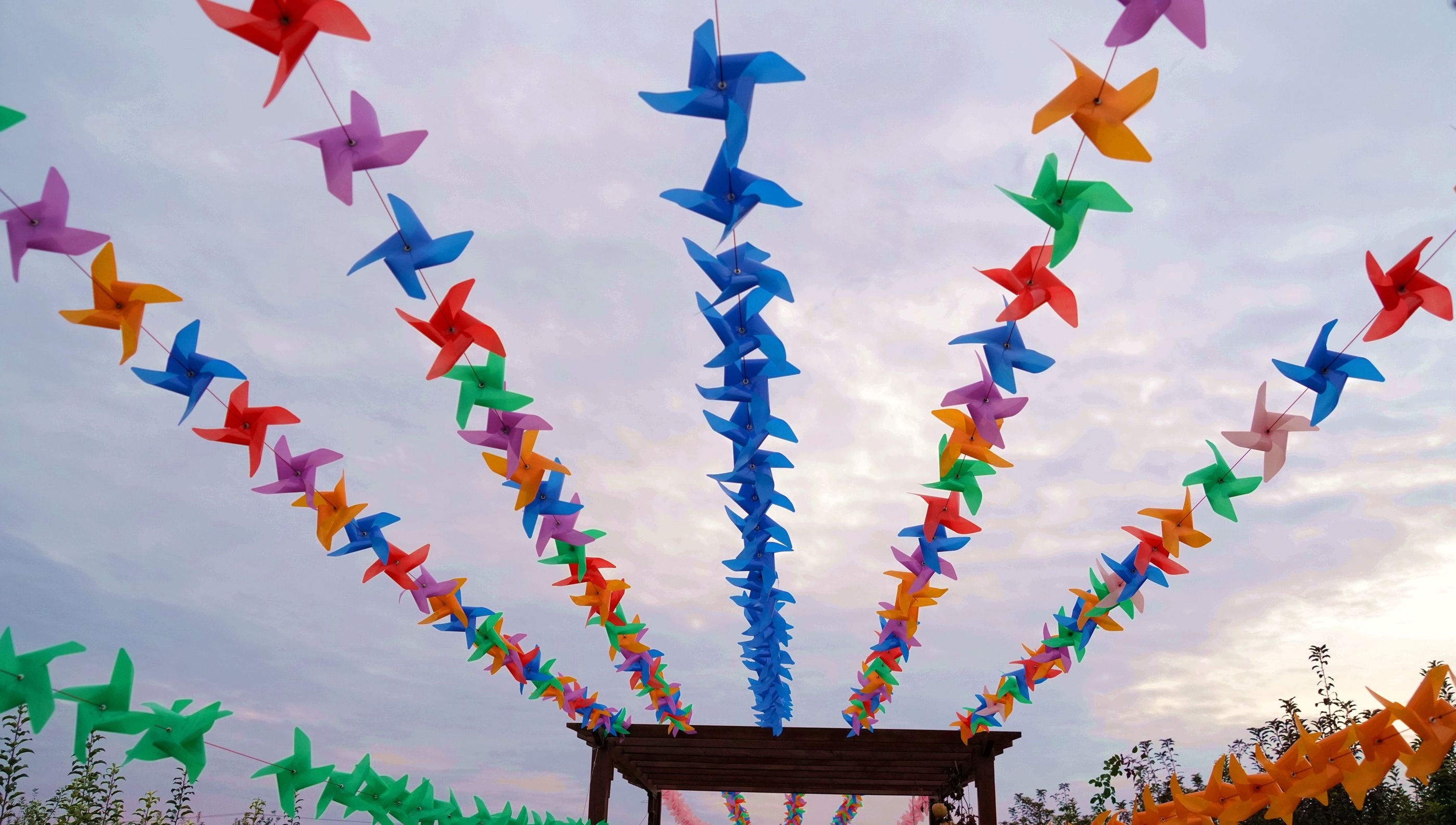  [银杏]山西农民8亩银杏林扔掉20年，现今坐在地头收门票，月赚10