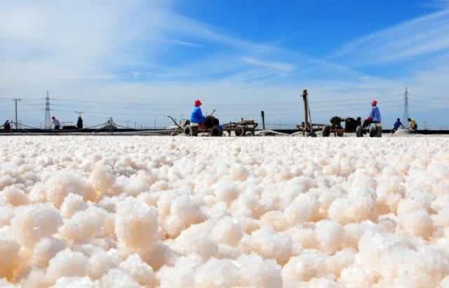 头上螨虫过亿，除了去医院，谨记2方法逼退螨虫!