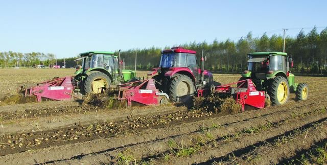 农民：农村的合作社都在骗补贴不干活！为什么国家还要大力支持？