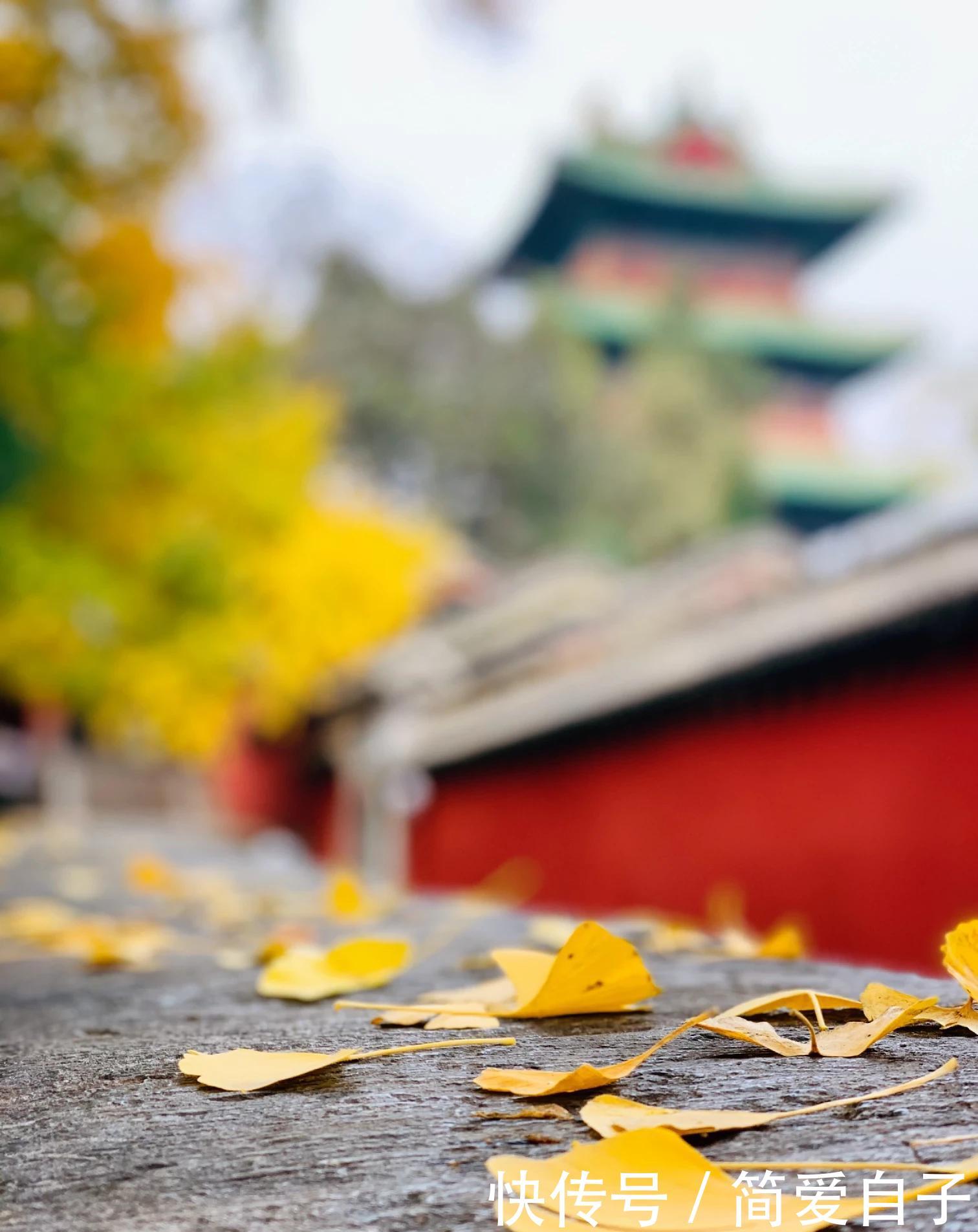  「合适」人生路需要一双鞋，苦乐之后自己体会，鞋合不合适只有脚知道！