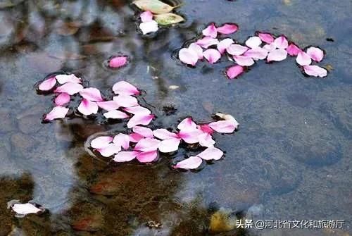  [春天]王母山春日美景图，每一帧都好看！