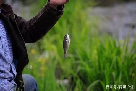 野钓高手分享非常实用的搭配饵料和线组的技巧，既省钱还钓的开心