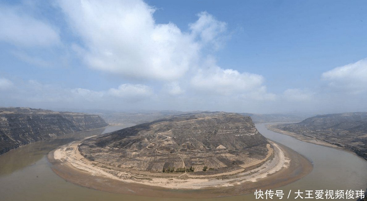 黄河之水那么浑浊，却有大量的鲤鱼生存原因很简单