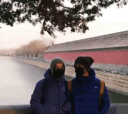 王菲私人小号疑似曝光 分享生活日常还晒与谢