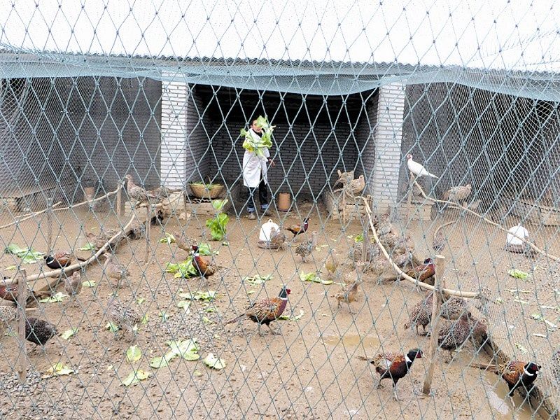  排上|在农村，这4类绝对算能排上号的有钱人，第2类争议颇大，但