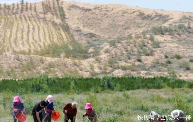 中国“最悲惨”的沙漠600多万亩黄沙，种上土豆后“颜面尽失”