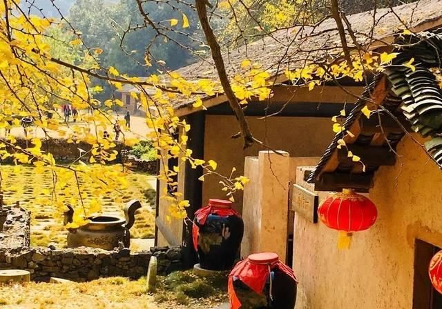 不用去婺源，湖北也有神仙秋景可赏，自驾2小时直达！