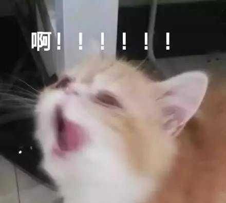  『技巧』有哪些日常护肤小技巧（一）干货进！