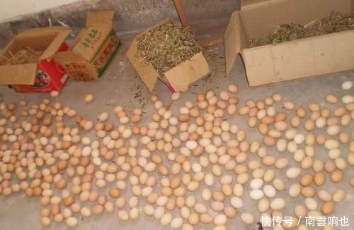  #别碰#快到年底，农村集市又要热闹起来了？老农：这3样东西赶集