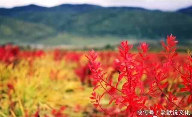 看看国内文化:云南元阳梯田，云南丽江，云南腾冲，云南香格里拉