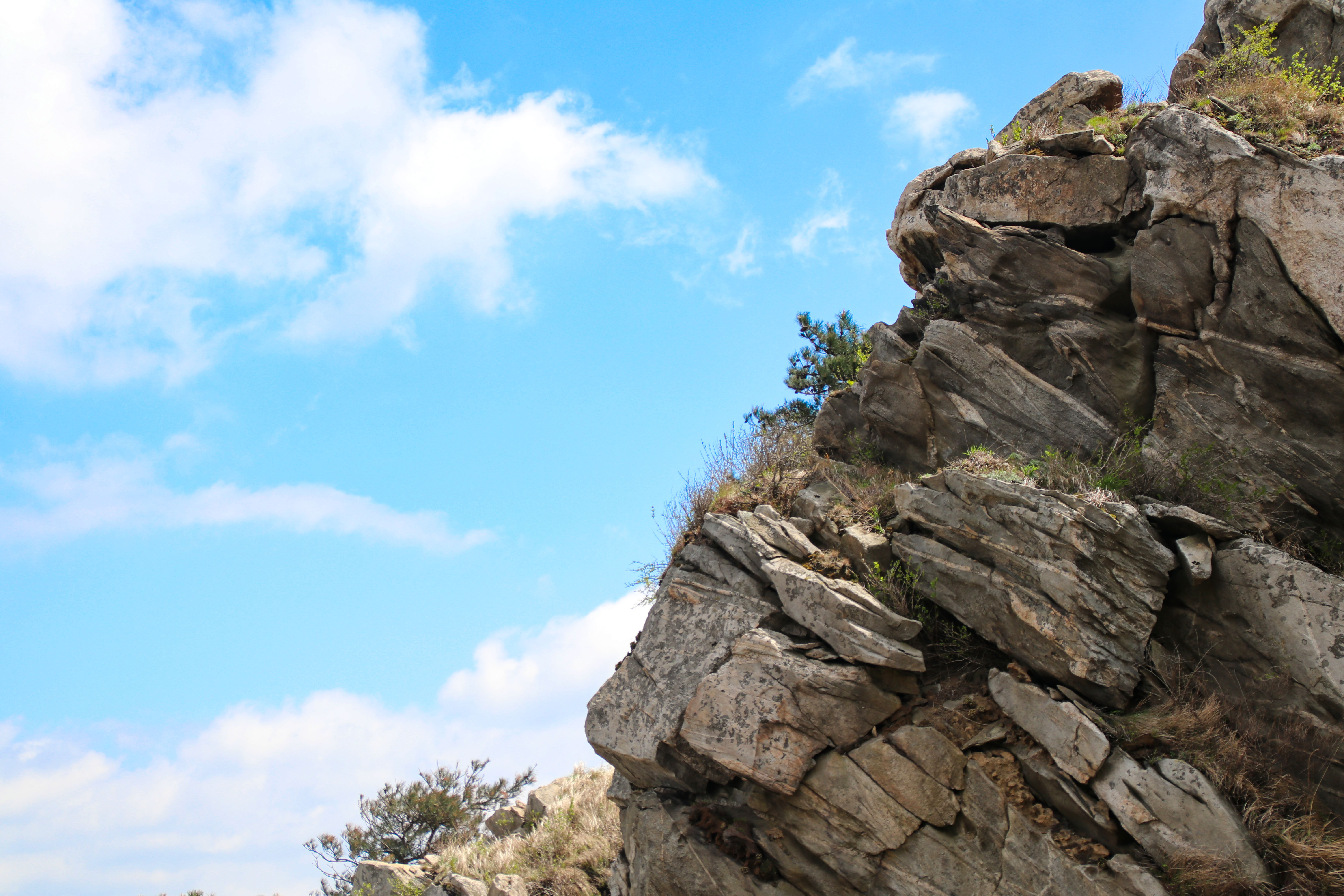 来沂蒙山，我“养”你啊