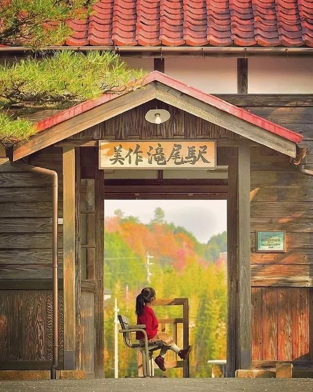 跟拍儿女3年，这位爸爸把孩子拍成了童话……