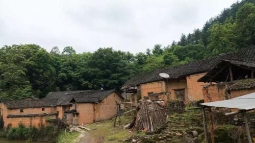  【农田】农村宅基地“子女能否继承”,5类情况下不能继承,农民要知道!