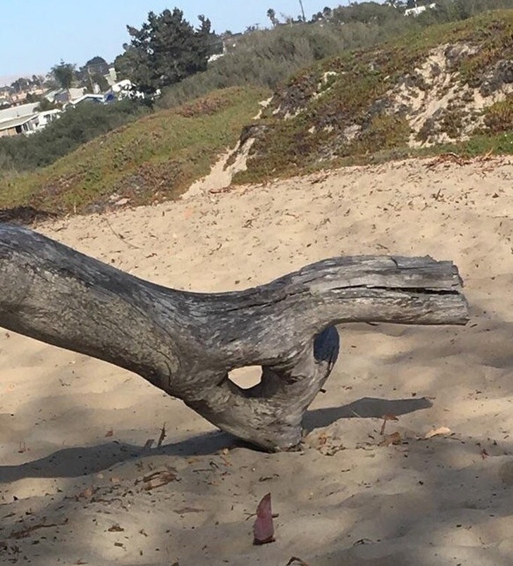 15张震撼的照片，让人不禁感叹世界的奇妙