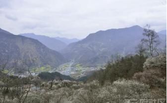  好奇|不用好奇李子柒家在哪里了！答案是四川平武大山