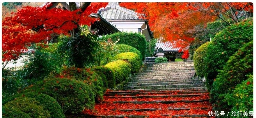 11月份国内最佳出游5大景点,自驾游的不二目的地,感受深秋美景