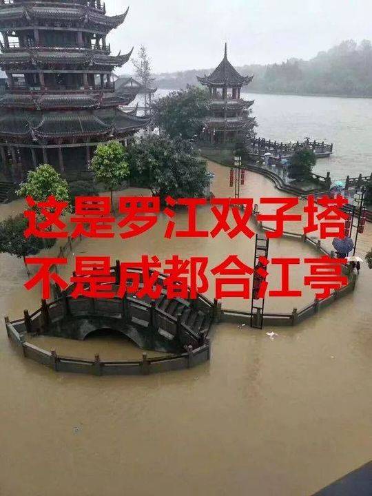 辟谣!鳄鱼逃跑、大桥被淹、美女被救…都是假的!这些信息才是真的