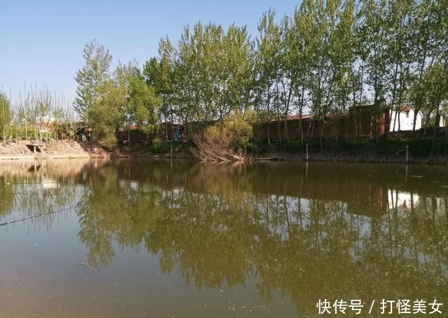 「水体溶氧量」夏初高温天气下,好钓鱼吗?