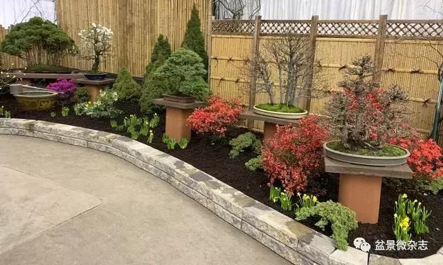 盆景大师瓦拉瓦尼斯带您参观19年纽约Gardenscape第23届园景展