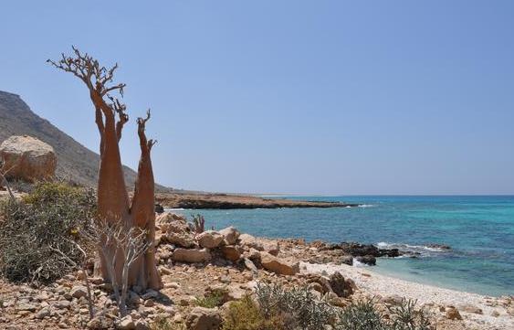 地球上鲜为人知的“外星世界”，远离大陆，独立存在18万个世纪