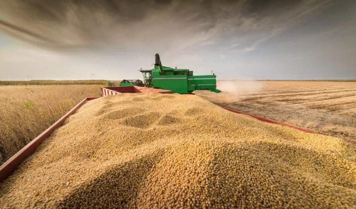 为什么美国人宁愿赔钱, 也要出口大量粮食到中国?