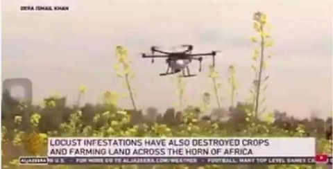  防控：赛为智能赛鹰植保无人机助力巴基斯坦蝗灾防控