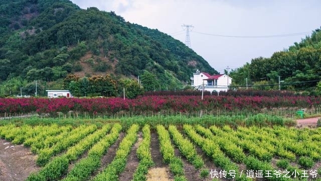 安徽也有网红景点啦，不仅人少，景色也是很美丽的呀