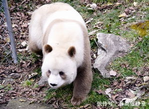 关于陕西的冷知识，能有几个本地人知道?