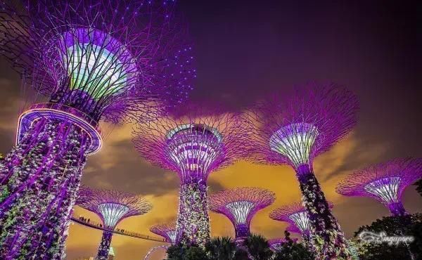 96小时过境免签重新加入中国！最安全的国家，美食对胃全年夏天