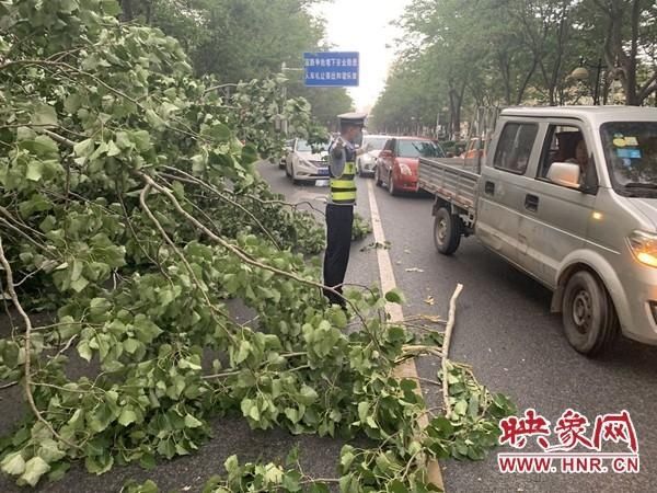 『出租车』大树倾倒出租车被砸 漯河交警及时救助