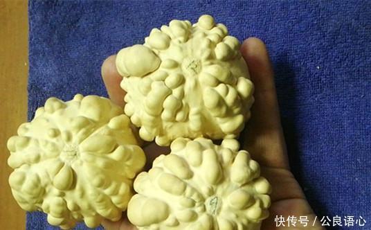  [葫芦]这是文玩高手，疙瘩葫芦被盘玩得红透了