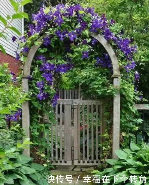  「快乐」篱笆小院住在乡村的快乐，你想体验吗！