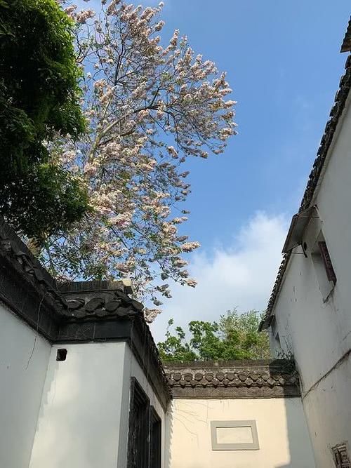  「居住」江苏“最适合”居住的城市，不是常州和苏州，也不是省