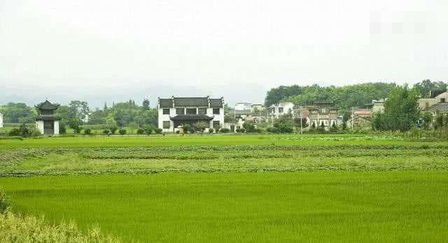 农民能私自买卖土地吗？如果出现，该怎样处理？老农们该看看