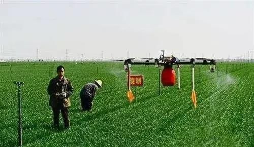 还在为要不要承包土地当种粮大户纠结？看了这5点你将不再犹豫