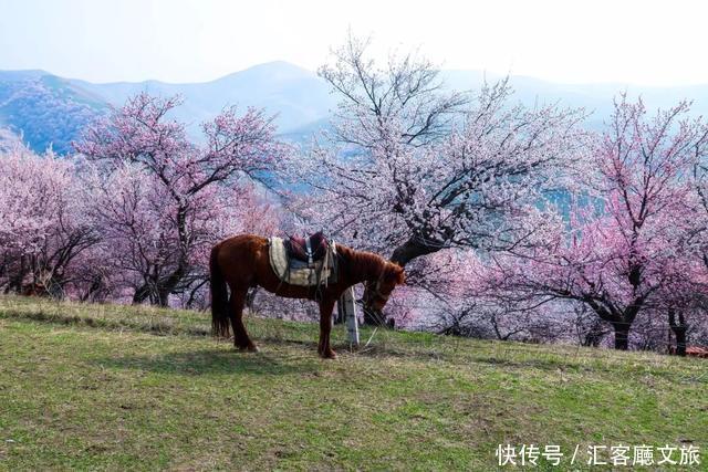 在这些地方的某个角落，遇见一抹春色，足以让你荡漾整个春天