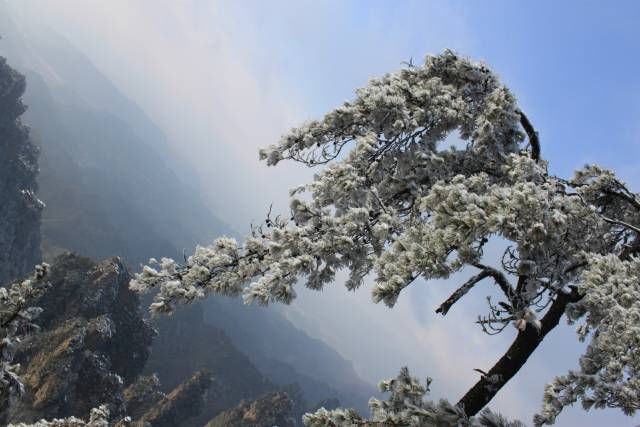 雪后的张家界,银装素裹,如临仙境!