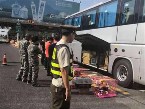  #路面情况#高速服务区停车的“潜规则”，多数车主已经上过当，